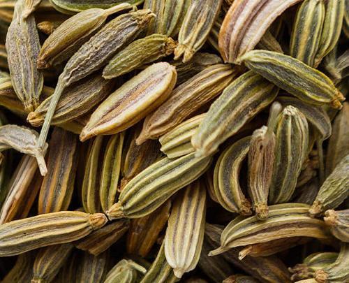 عکس از روغن رازیانه
