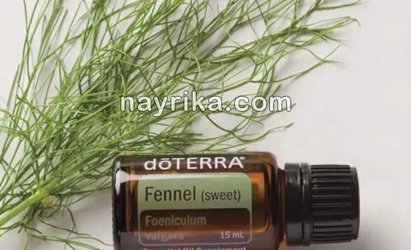 عکس از روغن رازیانه