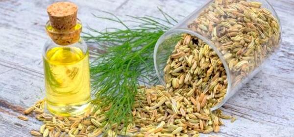 عکس از روغن رازیانه