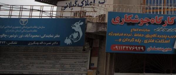 عکس حسن درزی