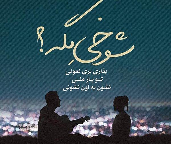 عکس نوشته در مورد حمید