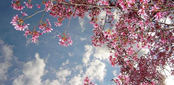 عکس نوشته بهار نو