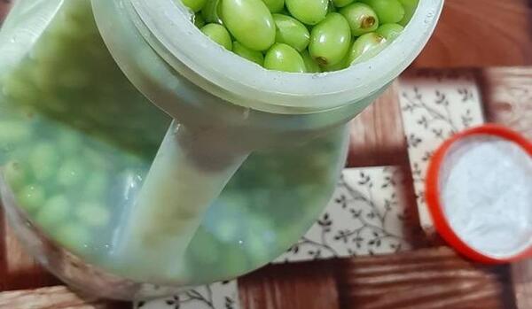 عکس چای غوره