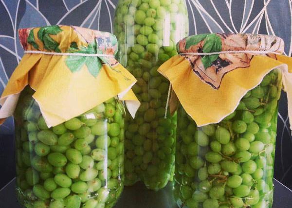 عکس چای غوره