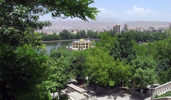 عکس شاه گلی