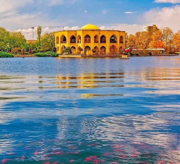 عکس شاه گلی