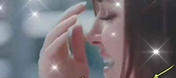 عکس گریه ی هانده ارچل