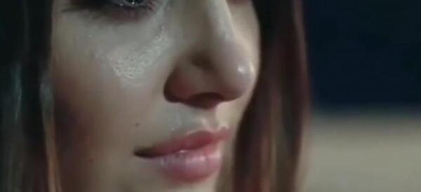 عکس گریه ی هانده ارچل