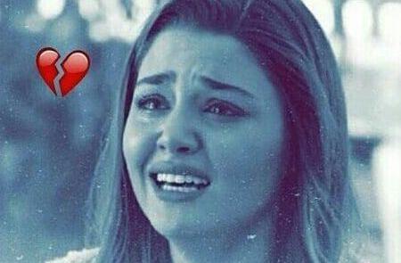 عکس گریه ی هانده ارچل