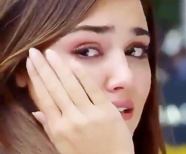 عکس گریه ی هانده ارچل