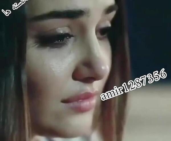 عکس گریه ی هانده ارچل
