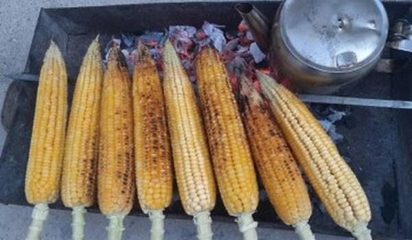 عکس ذرت رو اتیش