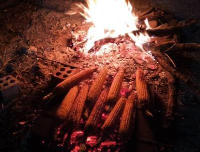 عکس ذرت رو اتیش