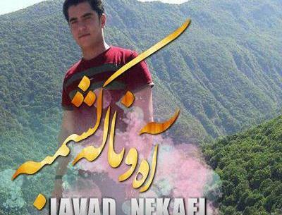 عکس جواد نکایی و همسرش