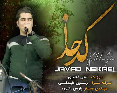 عکس جواد نکایی و همسرش