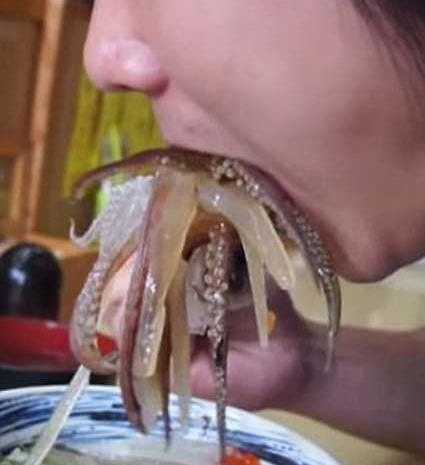 عکس غذا چندش اور