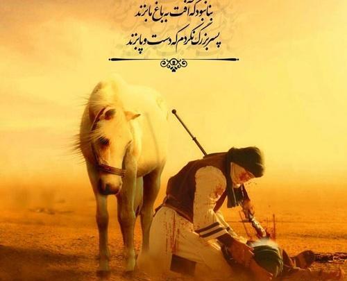 عکس اسب حضرت علی