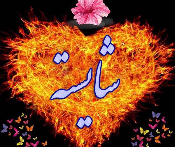 عکس زیبای پروفایل اسم شایسته