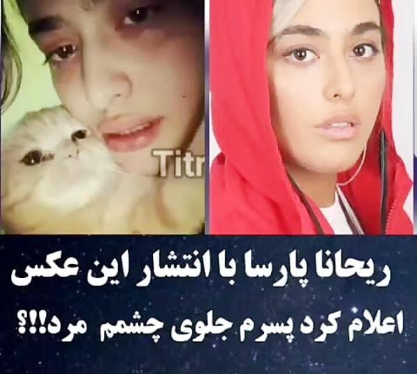 عکس گربه ریحانه پارسا
