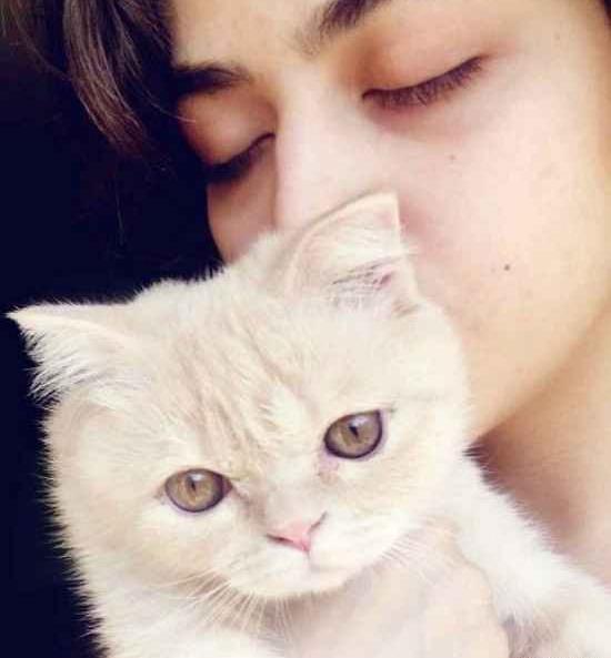 عکس گربه ریحانه پارسا