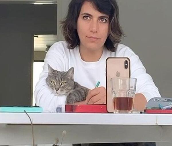 عکس گربه ریحانه پارسا