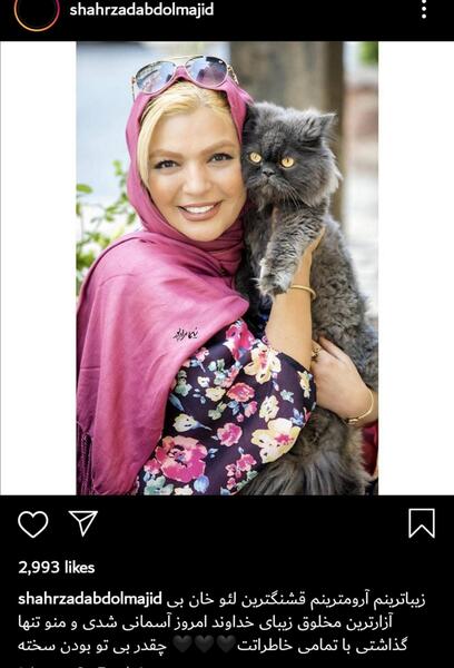 عکس گربه ریحانه پارسا