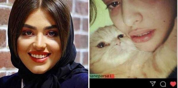 عکس گربه ریحانه پارسا