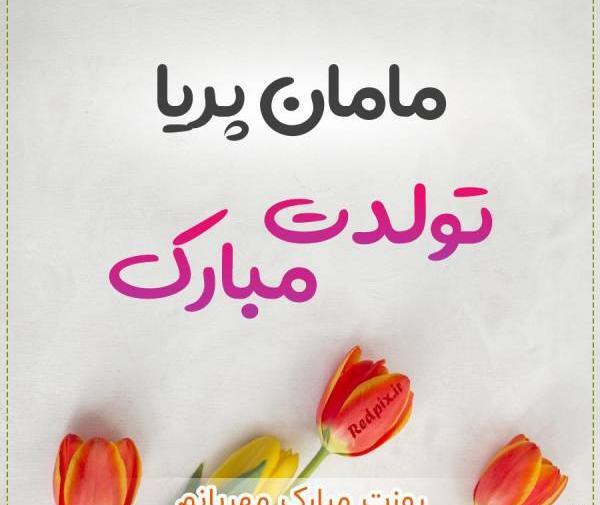 عکس گل پریا