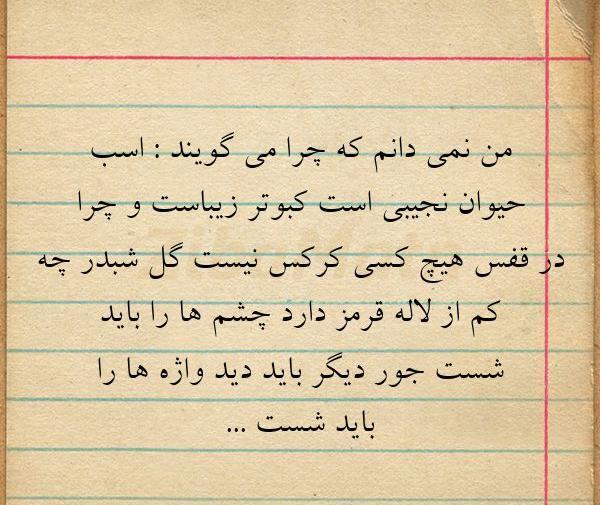 عکس نوشته گل شبدر چه کم از لاله قرمز دارد