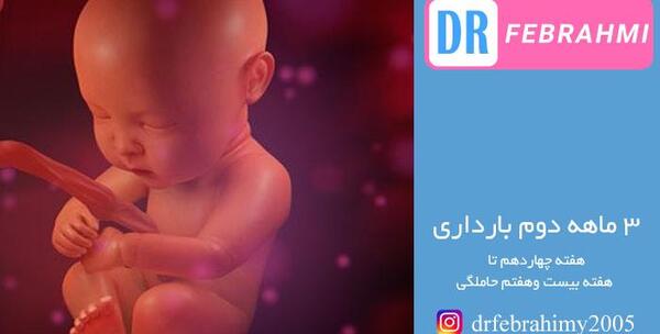 عکس نوزاد حامله