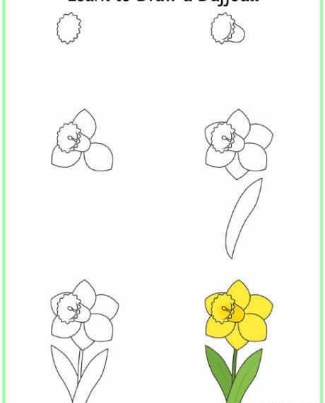 عکس گل نرگس نقاشی