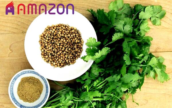 عکس سبزی جعفری و گشنیز