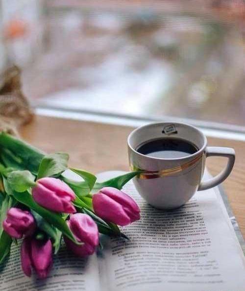 عکس کتاب و گل
