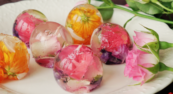 عکس ژله طبیعی