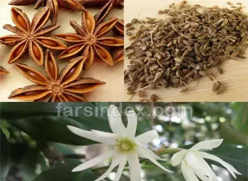 عکس رازیانه به انگلیسی