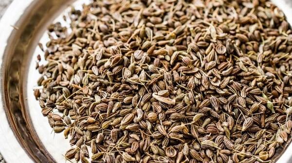 عکس رازیانه به انگلیسی