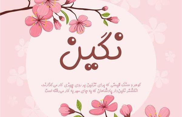 کلیپ عکس نوشته نگین