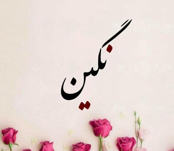 کلیپ عکس نوشته نگین