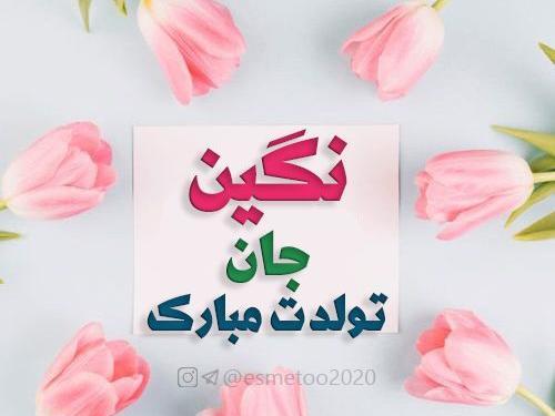 کلیپ عکس نوشته نگین