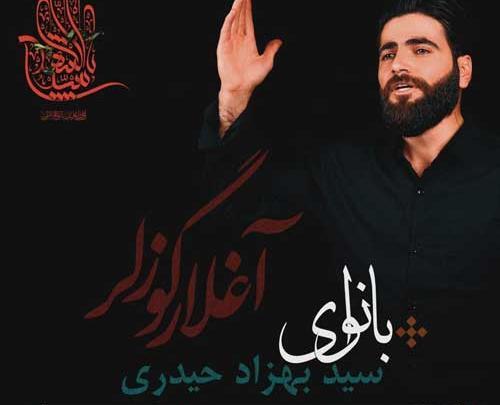 عکس بهزاد حیدری