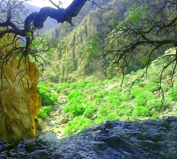 عکس از طبیعت هرایرز