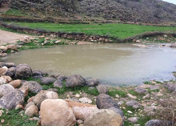 عکس از طبیعت هرایرز