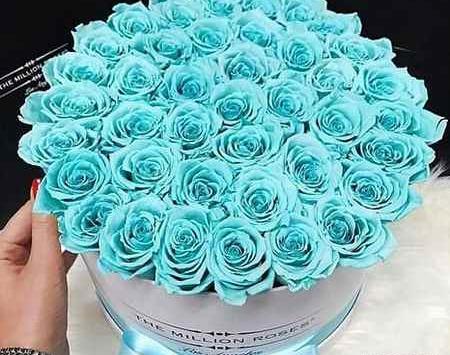 عکس واتساپ گل