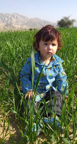 عکس امیرحسین حسینی