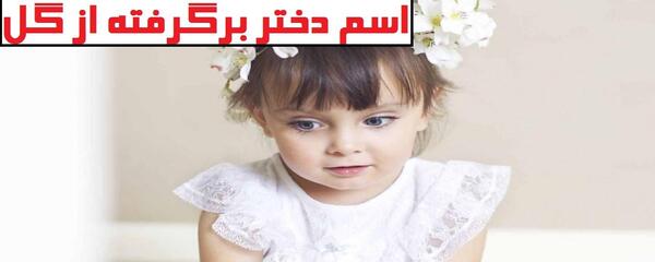 عکس گل ژوبا