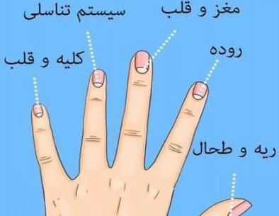 عکس ضربان قلب روی ناخن