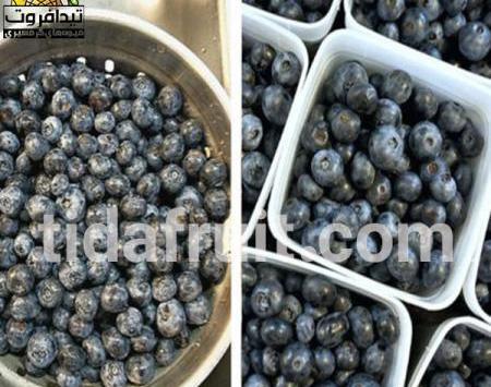 عکس زغال اخته ابی