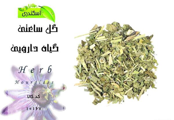 عکس گل ساعتی
