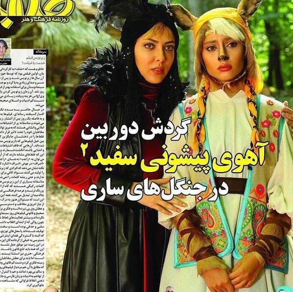 عکس آهو پیشونی سفید