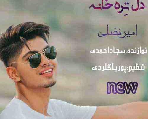 عکس امیر فضلی خواننده